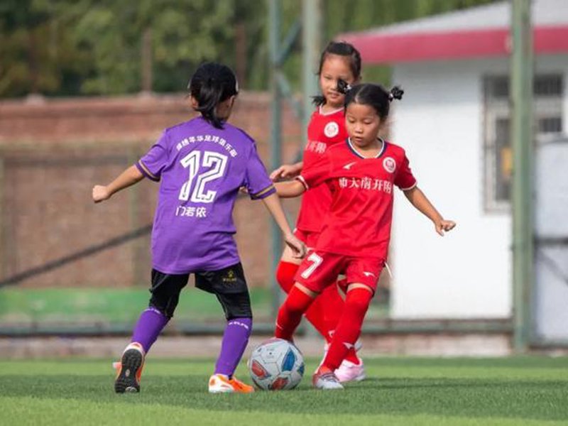 乐虎游戏国际概况